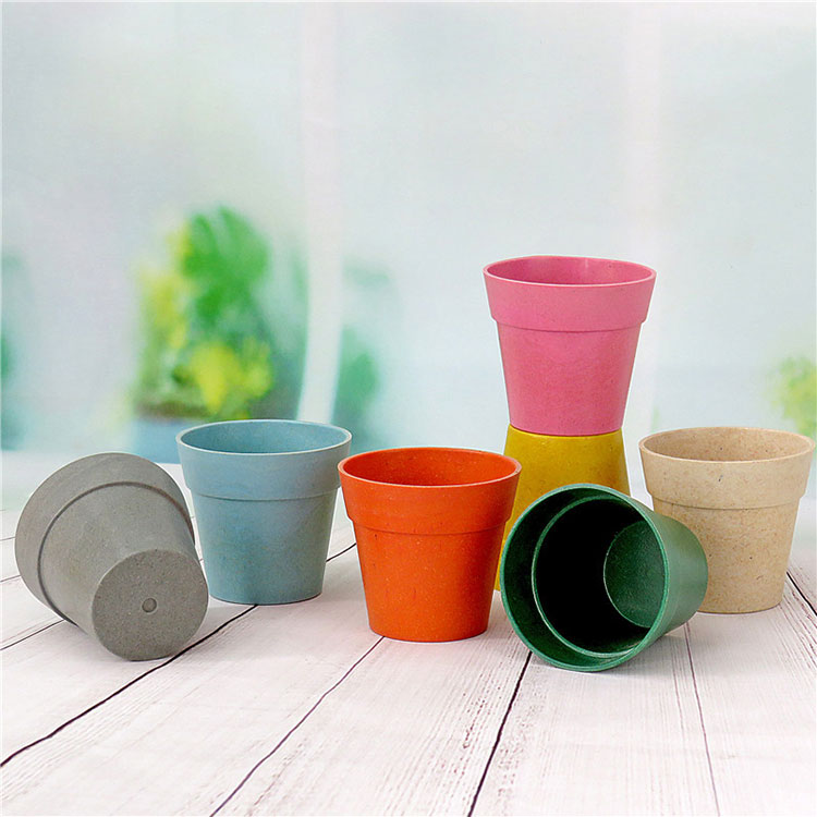Tại sao chậu hoa bằng tre đã trở thành một container trồng trọt phổ biến?